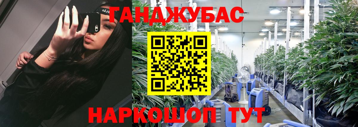 Конопля семена  Бошки Шишки LSD WEED  Шишки марихуана планчик  Вход с VPN  Томск 