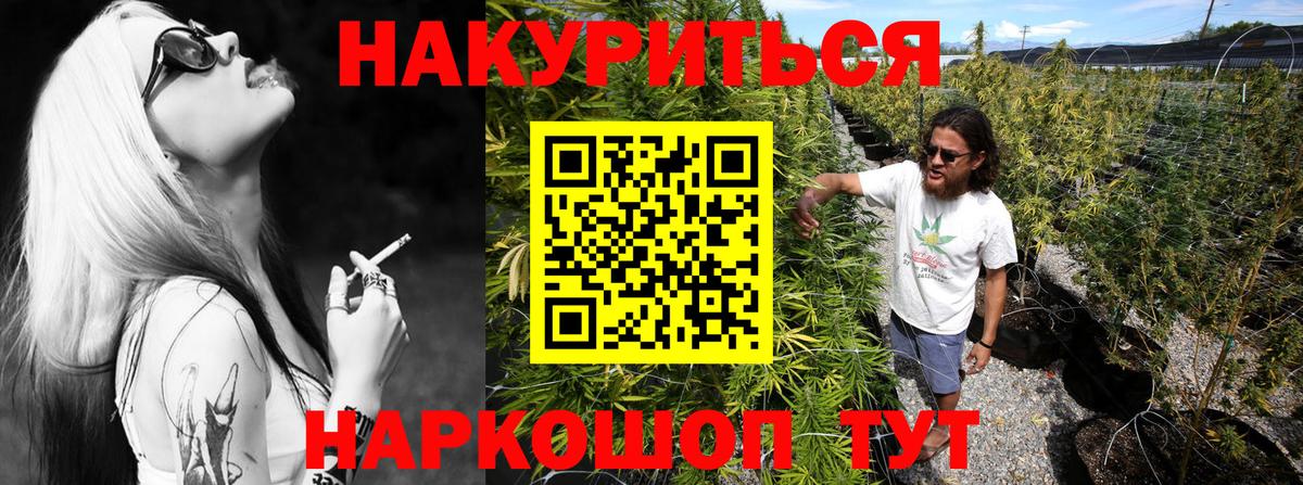 Конопля индика Томск